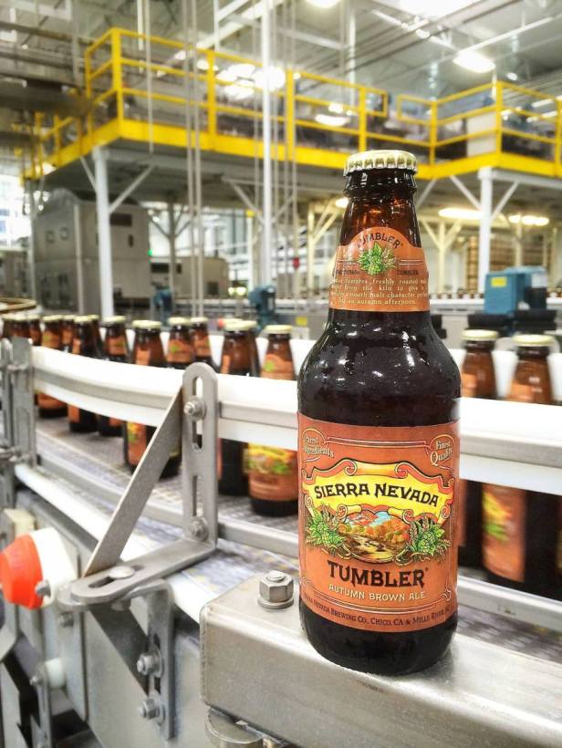 10531372_10153126230057516_5939491243636648693_o